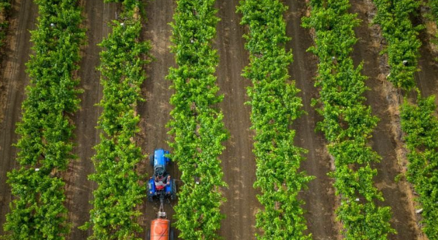 Uttar Pradesh Food Industry Modernization Project